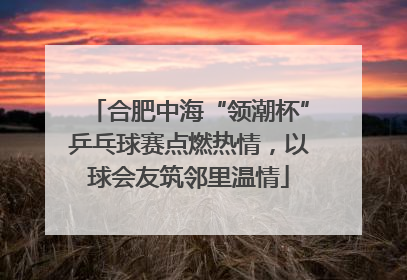 合肥中海“领潮杯”乒乓球赛点燃热情，以球会友筑邻里温情