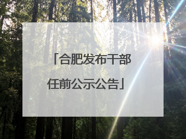 合肥发布干部任前公示公告