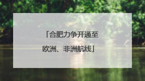 合肥力争开通至欧洲、非洲航线