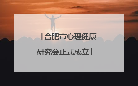 合肥市心理健康研究会正式成立