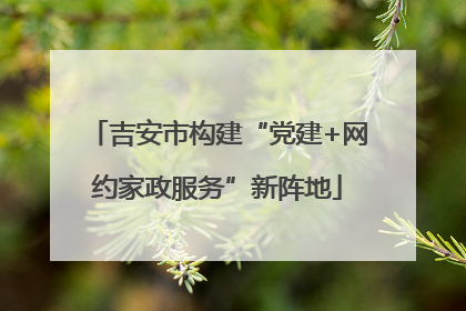 吉安市构建“党建+网约家政服务”新阵地