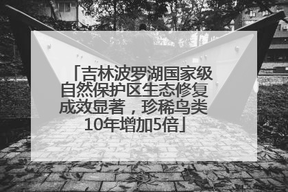 吉林波罗湖国家级自然保护区生态修复成效显著，珍稀鸟类10年增加5倍