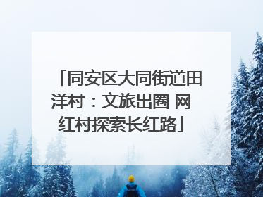 同安区大同街道田洋村：文旅出圈 网红村探索长红路