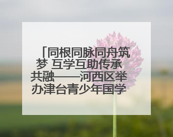 同根同脉同舟筑梦 互学互助传承共融——河西区举办津台青少年国学交流活动