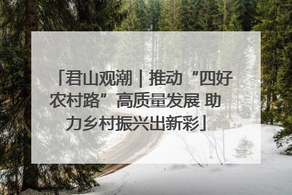 君山观潮｜推动“四好农村路”高质量发展 助力乡村振兴出新彩