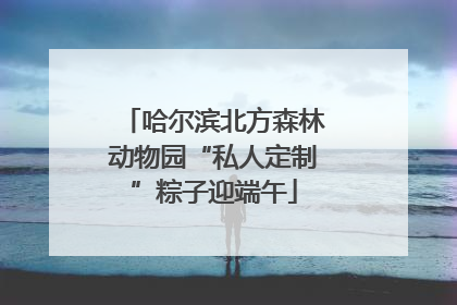哈尔滨北方森林动物园“私人定制”粽子迎端午