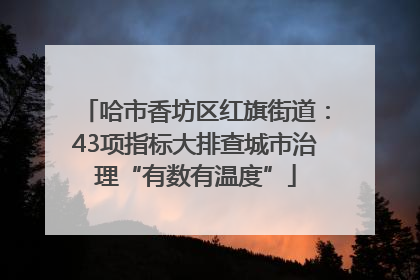 哈市香坊区红旗街道：43项指标大排查城市治理“有数有温度”