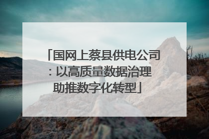 国网上蔡县供电公司：以高质量数据治理 助推数字化转型