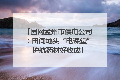 国网孟州市供电公司：田间地头“电课堂”  护航药材好收成
