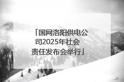 国网洛阳供电公司2025年社会责任发布会举行
