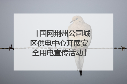 国网荆州公司城区供电中心开展安全用电宣传活动