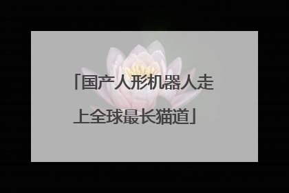 国产人形机器人走上全球最长猫道