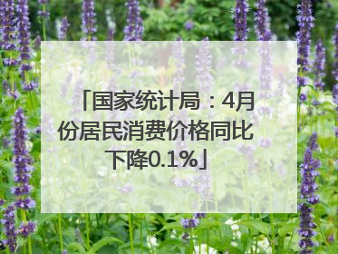 国家统计局：4月份居民消费价格同比下降0.1%