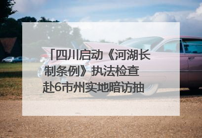 四川启动《河湖长制条例》执法检查 赴6市州实地暗访抽查｜四川人大之声