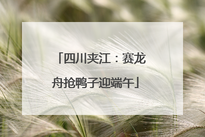 四川夹江：赛龙舟抢鸭子迎端午