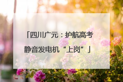 四川广元：护航高考 静音发电机“上岗”