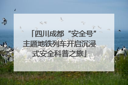 四川成都“安全号”主题地铁列车开启沉浸式安全科普之旅