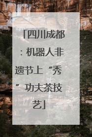四川成都：机器人非遗节上“秀”功夫茶技艺