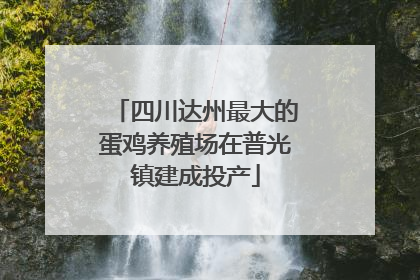 四川达州最大的蛋鸡养殖场在普光镇建成投产