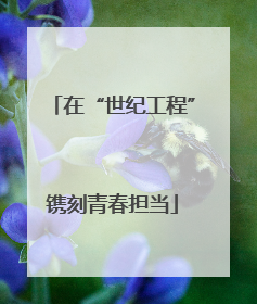 在“世纪工程”镌刻青春担当