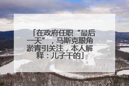 在政府任职“最后一天”，马斯克眼角淤青引关注，本人解释：儿子干的