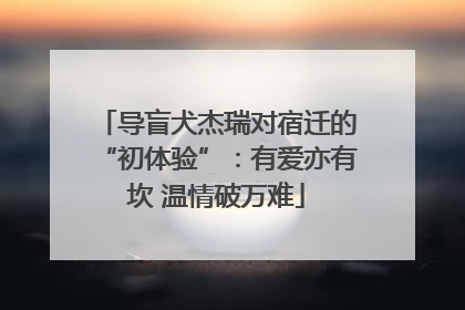 导盲犬杰瑞对宿迁的“初体验”：有爱亦有坎 温情破万难
