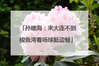 孙继海：来大连不到梭鱼湾看场球挺遗憾