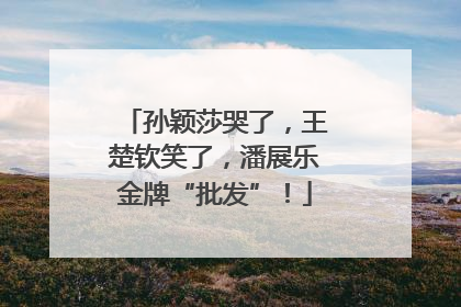 孙颖莎哭了，王楚钦笑了，潘展乐金牌“批发”！