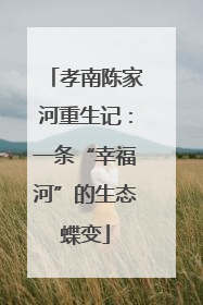 孝南陈家河重生记：一条“幸福河”的生态蝶变