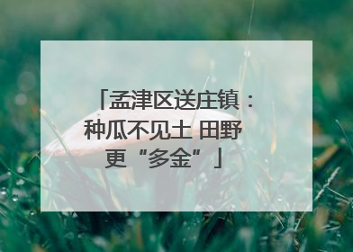孟津区送庄镇：种瓜不见土 田野更“多金”