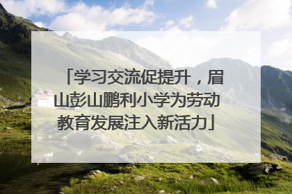学习交流促提升，眉山彭山鹏利小学为劳动教育发展注入新活力