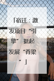 宿迁：激发项目“引擎” 挺起发展“脊梁”