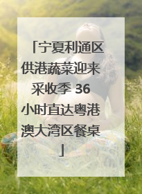 宁夏利通区供港蔬菜迎来采收季 36小时直达粤港澳大湾区餐桌