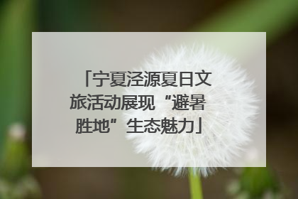 宁夏泾源夏日文旅活动展现“避暑胜地”生态魅力