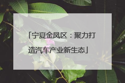 宁夏金凤区：聚力打造汽车产业新生态