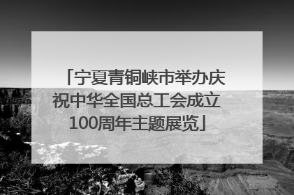 宁夏青铜峡市举办庆祝中华全国总工会成立100周年主题展览