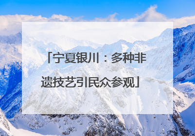 宁夏银川：多种非遗技艺引民众参观