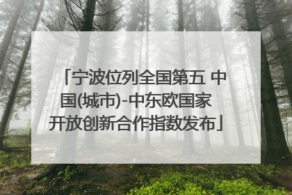 宁波位列全国第五 中国(城市)-中东欧国家开放创新合作指数发布