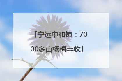 宁远中和镇：7000多亩杨梅丰收