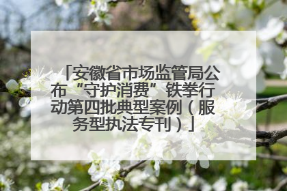 安徽省市场监管局公布“守护消费”铁拳行动第四批典型案例（服务型执法专刊）