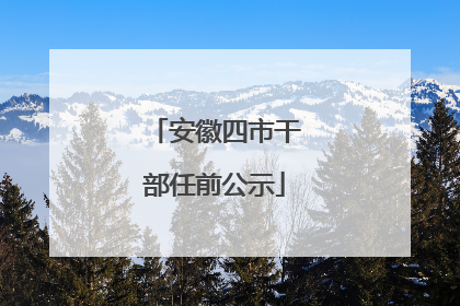 安徽四市干部任前公示