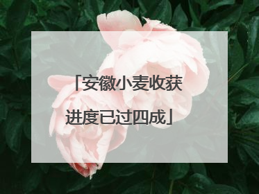 安徽小麦收获进度已过四成