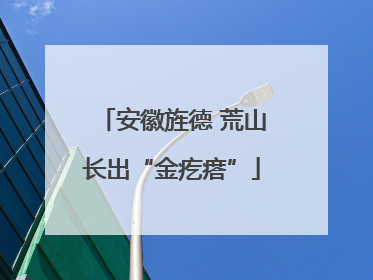 安徽旌德 荒山长出“金疙瘩”