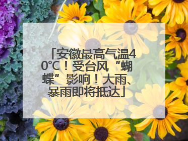 安徽最高气温40℃！受台风“蝴蝶”影响！大雨、暴雨即将抵达