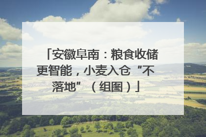 安徽阜南：粮食收储更智能，小麦入仓“不落地”（组图）