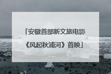 安徽首部新文旅电影《风起秋浦河》首映