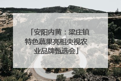 安阳内黄：梁庄镇特色蔬果亮相央视农业品牌甄选会