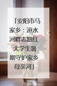 安阳市马家乡：洹水河畔志愿红 大学生暑期守护家乡母亲河