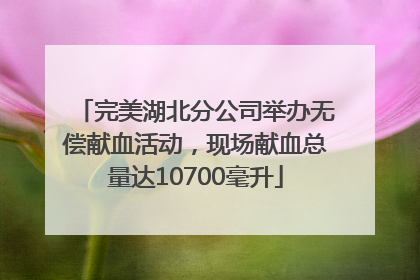 完美湖北分公司举办无偿献血活动，现场献血总量达10700毫升