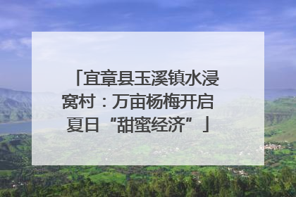 宜章县玉溪镇水浸窝村：万亩杨梅开启夏日“甜蜜经济”
